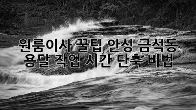 원룸이사 꿀팁🍯 안성 금석동 용달 작업 시간 단축 비법!
